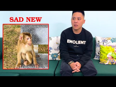 Dad reveals new information about lost contact with Monkey Kaka