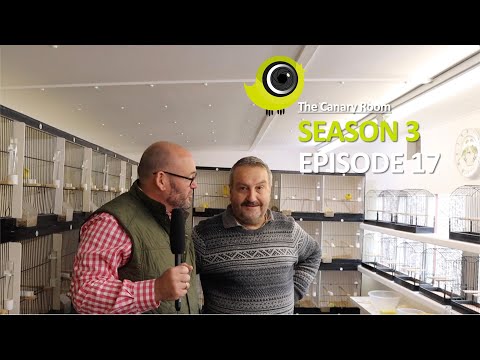 The Canary Room Season 3 Episode 17 - A visit to Gerald Spencer