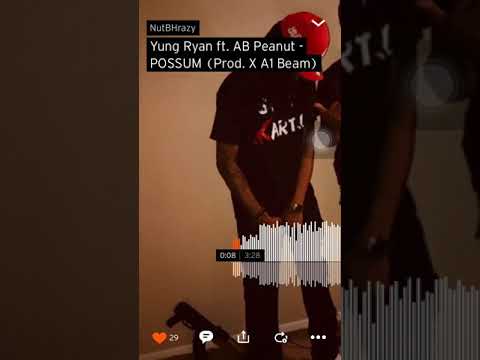 Yung Ryan ft AB Peanut - POSSUM