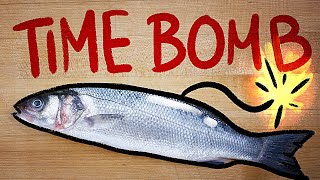 Why fish spoils so fast