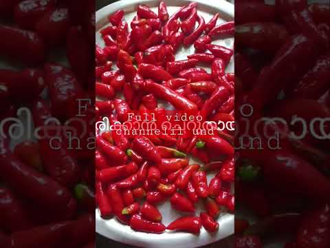 how to preserve chilli #red chilli paste