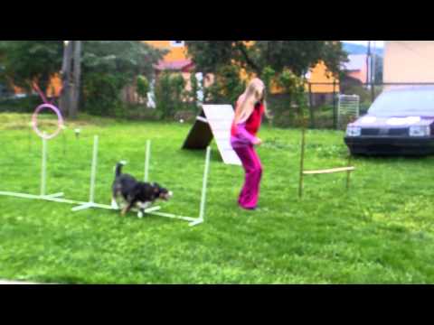 Tréning AGILITY (20.9.2013)