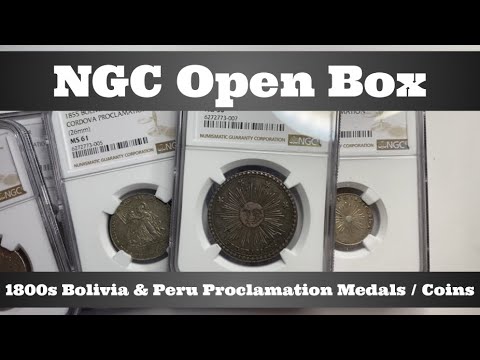 1800s Bolivia & Peru Proclamation Medals / Coins - NGC Open Box Grade Reveal