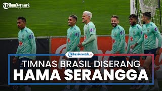 Skuad Timnas Brasil Diserang Serangga, Misi Selecao Raih Tiket 16 Besar Piala Dunia 2022 Terganggu