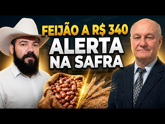 O que está impulsionando o feijão a R$340, as cotações do arroz e a quebra de safra no trigo!