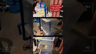 Download lagu Direct Message for more info's #crayfish Inquiries..https://www.facebook.com/share/p/1AVCExzve2/ mp3