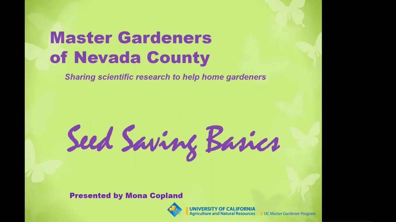 Seed Saving Basics  Part 2 of 3  Video of MGNC Workshop Aug 1 2020