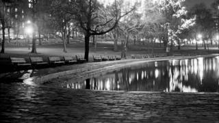 Prezidential Candidates-Like A Fire