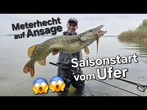 Hechtangeln zum Saisonstart vom Ufer - Das musst du beachten und wissen