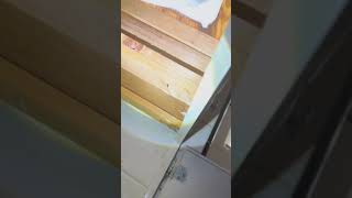 Bathroom Roaches