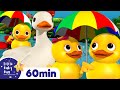 Five Little Ducks More Nursery Rhymes And Kids Songs Little Baby Bum