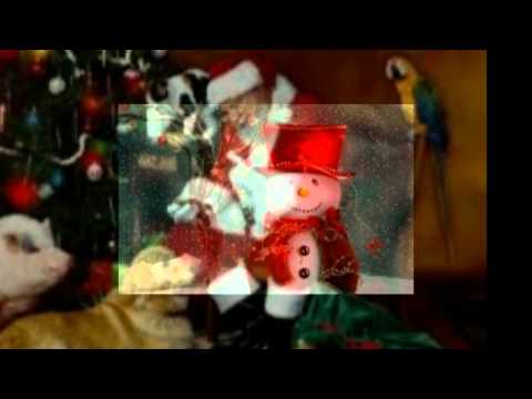 Merry Christmas 2014 2015 - Anthya & Chris W. Gatto