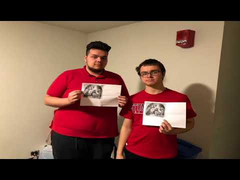 ACH 101 FYS SERVICE PROJECT