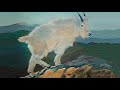 CHRIS NOLE - John Denver - ROCKY MOUNTAIN HIGH