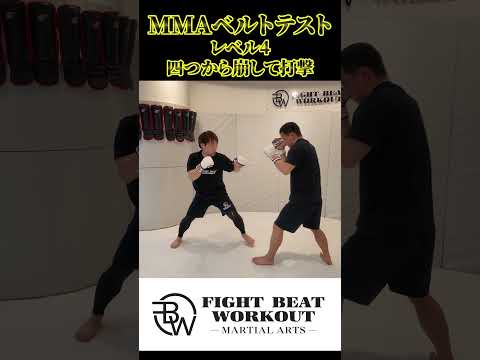 四つから崩して打撃【MMAレベル4】