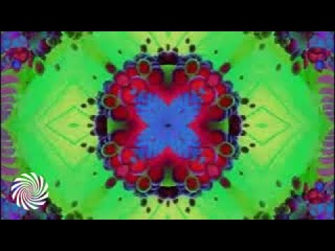 Offlabel - Master Your Life [Psychedelic Visuals]