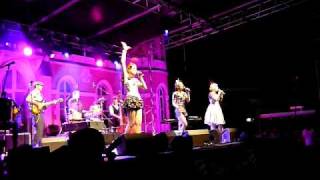 The Puppini Sisters - I will survive