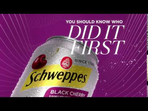 Schweppes Sparkling Water - Fizz