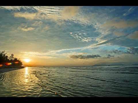 Biển dại Sheet - Cao Huy Thế