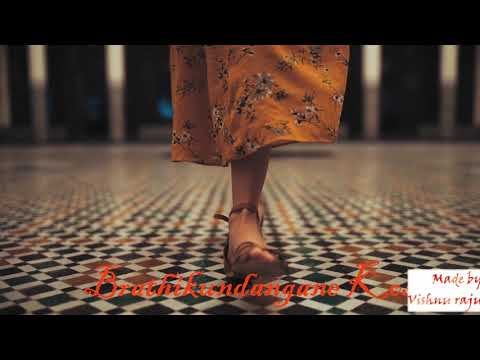 Pranam poye badhedo Lyrical song from Mr. nookayya || For WhatsApp Status & TikTok || Love failure