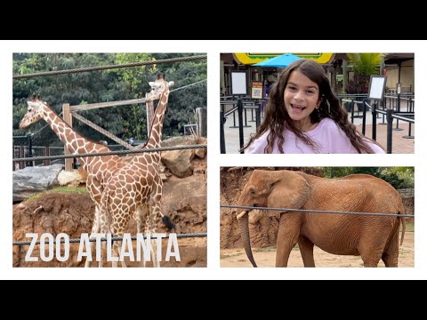 image-Can you bring dogs to the Atlanta Zoo?