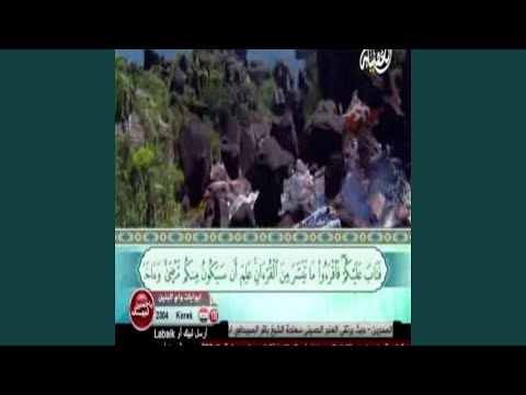 Maytham Al Tammar Surat Al Qeyma