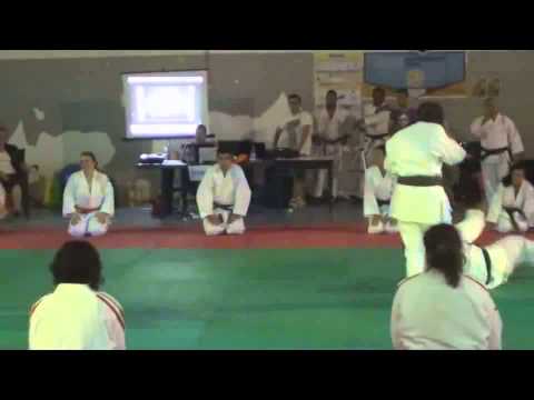 Manifestazione Judo nel PalaVolley di Succivo nel 2011