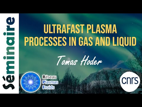 Ultrafast plasma processes in gas and liquid | Tomas Hoder