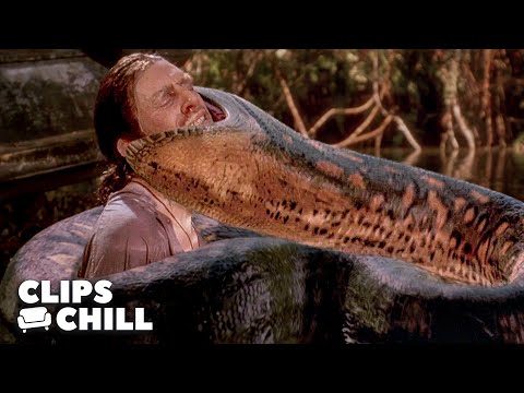 The Anaconda’s DEADLIEST Attacks | Anaconda Movies Best Kill Scenes