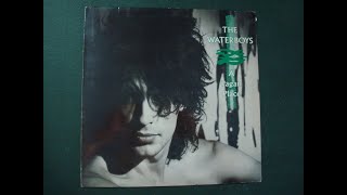 THE WATERBOYS.&#39;&#39;A PAGAN PLACE.&#39;&#39;.(SOMEBODY MIGHT WAVE BACK.)(12&#39;&#39; LP.)(1984.)