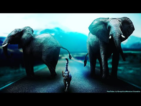 AdobePhotoshop ImageManipulation New Video Tutorial Learn How to Manipulate Images graphicmentor