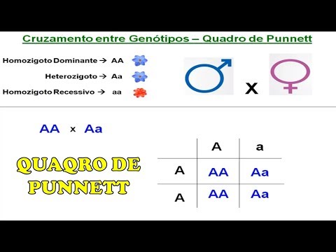 Exercises Punnett Square and Mendel's Laws