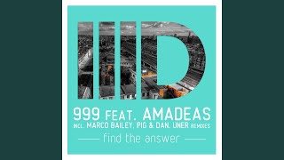 Find the Answer (Pig & Dan Remix)