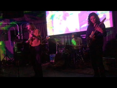 Silver Synthetic - Live at Zebulon, LA 3/21/2022