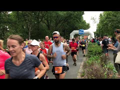 Start 39. Intern. Steinhuder-Meer-Lauf vom 01.09.2019 beim TSV Poggenhagen