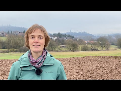 Sonntagsgedanke für den 07.02.2021