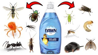 How To Effectively Get Rid of Pests With Dawn Dish Soap