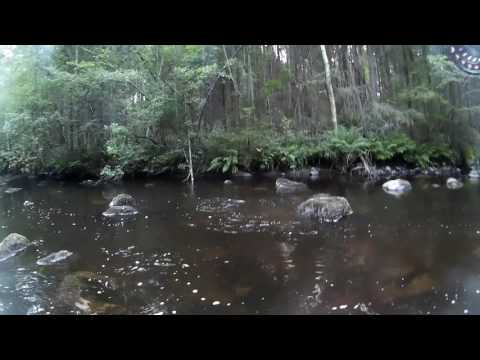 Perhostelua Karkkilassa. Pitkälänkoski