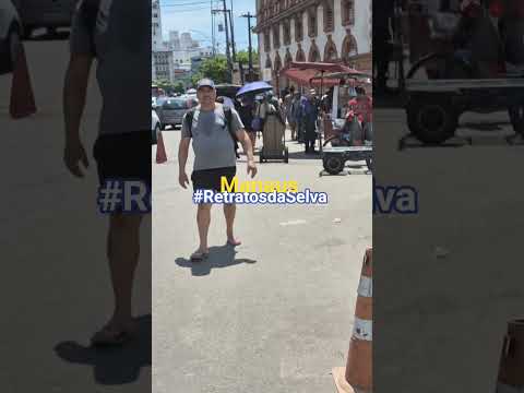 Retratos da selva na capital da Amazônia,  Manaus #amazônia #amazonas #retratosdaselva