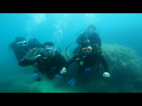 Arraial do Cabo agora é a 'Capital Nacional do Mergulho'; veja os motivos para essa conquista