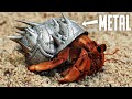 I made hermit crabs armor then released them!