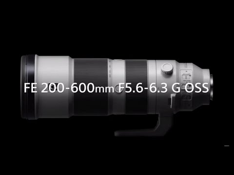 FE 200-600 mm F5.6-6.3 G OSS | Sony Store Chile - Sony Store Chile