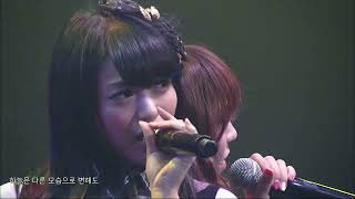 AKB48 [choose me] 2013 리퀘스트아워