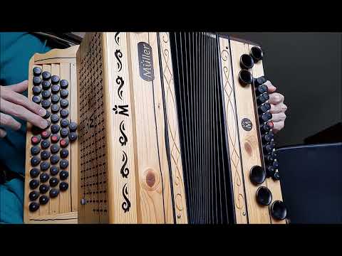 Narcotic 🎉 | einfaches Lernvideo | Steirische Harmonika | Harry spielt auf!