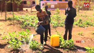 Solenzo : les jardins scolaires, un levier pédagogique, nutritionnel et communautaire