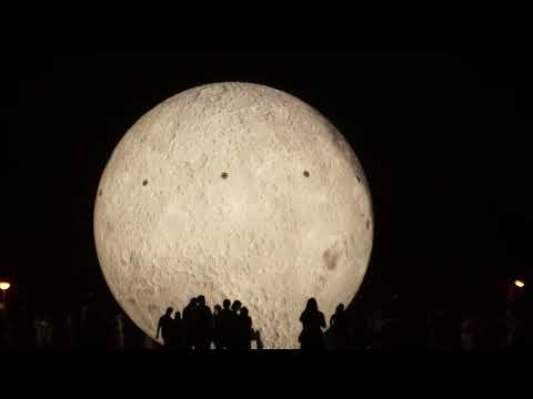 Arms and Sleepers - The Sow That Eats Her Farrow [Visualizer]