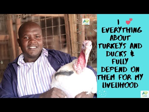 , title : 'I make more money from Duck and Turkey farming than I did, from chicken Farming!'