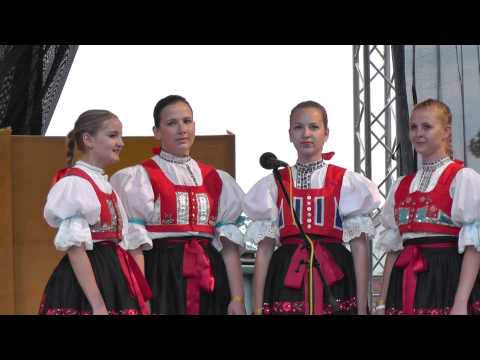 CM Friška - Janíčku, duša má (SFFS Dambořice)