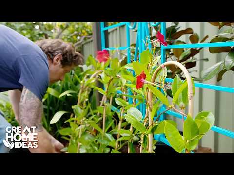 $0 Garden Makeovers! | Great Home Ideas