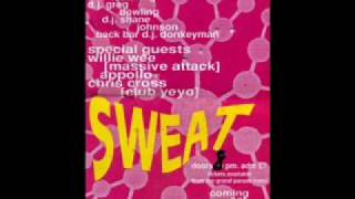 Frankie Knuckles - Workout